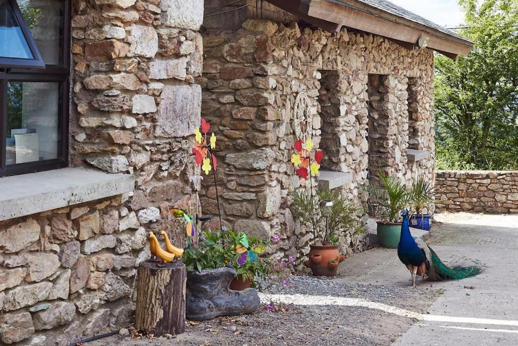 Kingsford Renovated Old Cottage Уексфорд Екстериор снимка