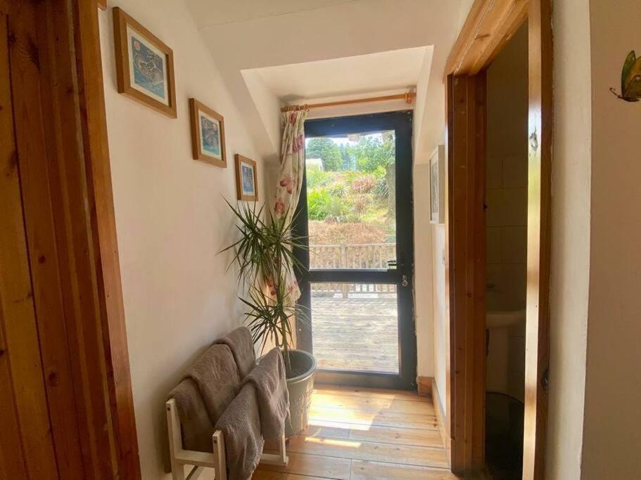 Kingsford Renovated Old Cottage Уексфорд Екстериор снимка