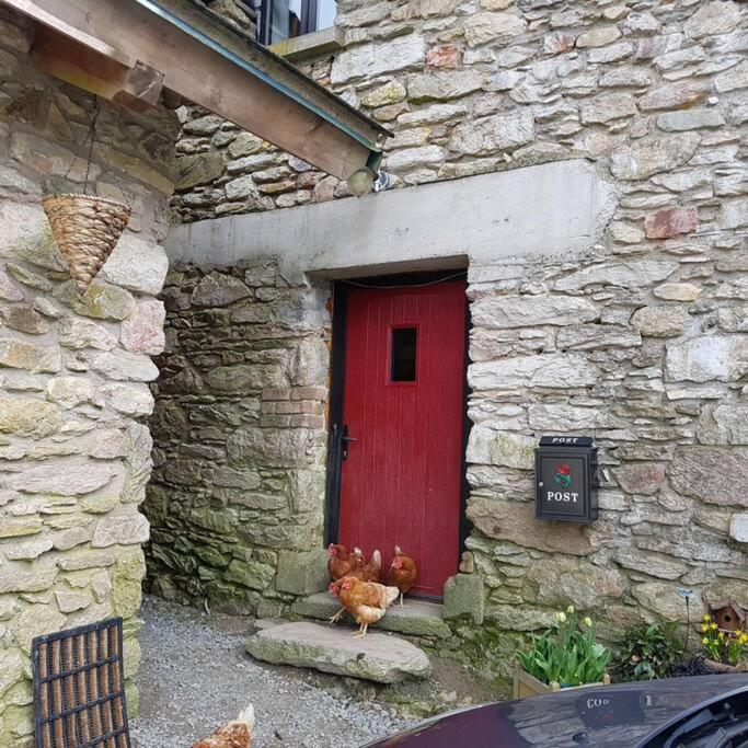 Kingsford Renovated Old Cottage Уексфорд Екстериор снимка